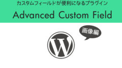 Advanced Custom Fieldの使い方画像編