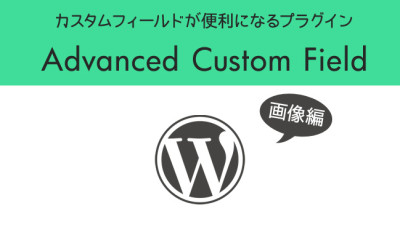 Advanced Custom Fieldの使い方画像編